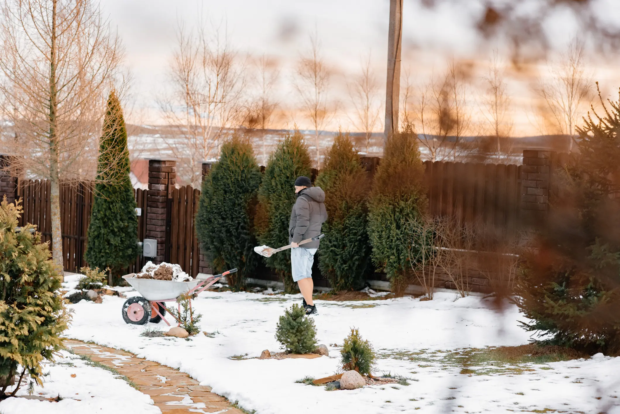 Person shoveling snow in a winter garden.