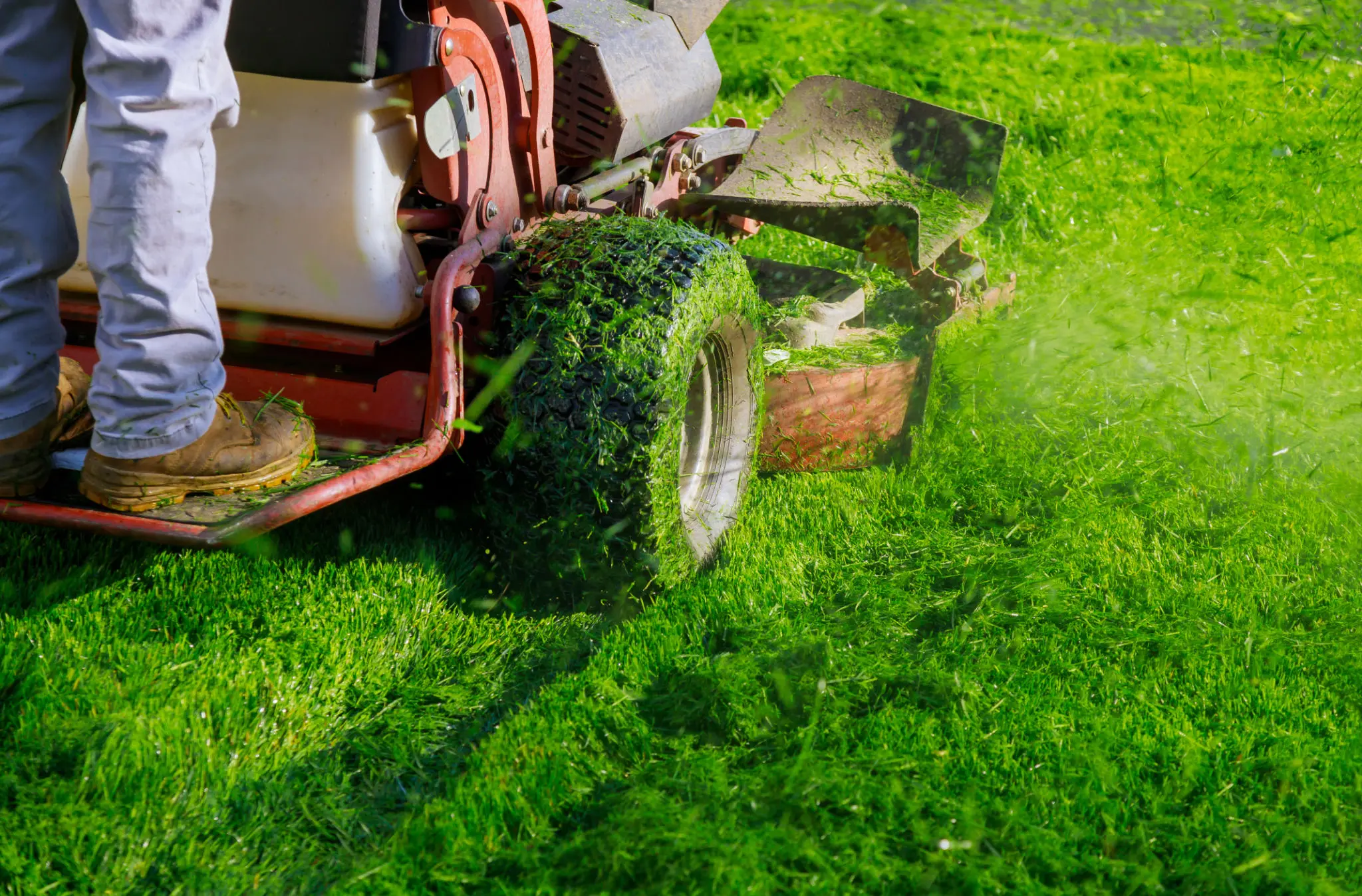 Lawn mower cutting fresh green grass.