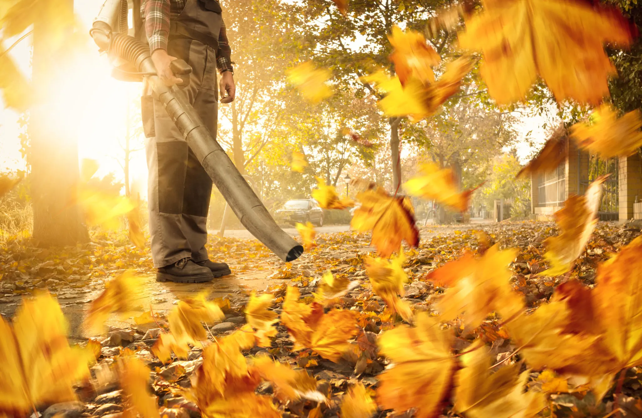 Person using leaf blower on autumn leaves.